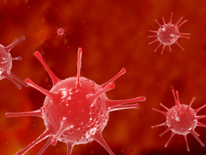 viruses bacteria science cells nerve cells neurons 3D Model