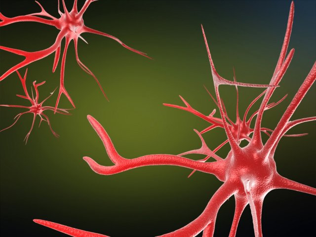neurons cells medical animation video models Modelo 3D .c4d .max .obj .3ds .fbx .stl .blend 