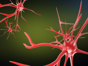 neurons cells medical animation video models Modèle 3D