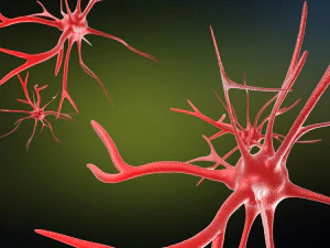 modelli video di animazione medica delle cellule dei neuroni Modello 3D