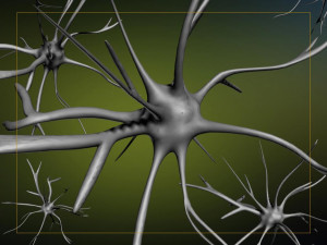 neurons cells medical animation video models Modelo 3D