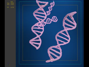 dna sequencing rna genetics 3D Model
