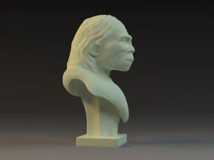 Ape Heads Peking Man cavemen Cavemen 3d printing sculptural models 3D Model