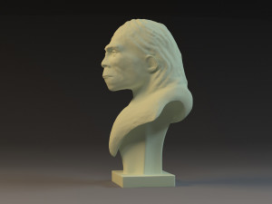 Ape Heads Peking Man cavemen Cavemen 3d printing sculptural models Modello 3D