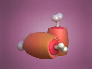 Ham in cartoon style Cartoon Ham Meat 3D Model