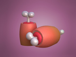 Ham in cartoon style Cartoon Ham Meat Model 3D