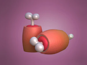 Ham in cartoon style Cartoon Ham Meat 3D Model
