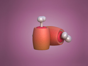 Ham in cartoon style Cartoon Ham Meat Model 3D