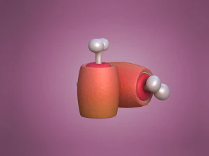 Ham in cartoon style Cartoon Ham Meat 3D Model