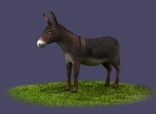 Donkeys ranches livestock breeding mammals Modello 3D .c4d .max .obj .3ds .fbx .stl .blend 