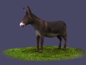 Donkeys ranches livestock breeding mammals 3D Model