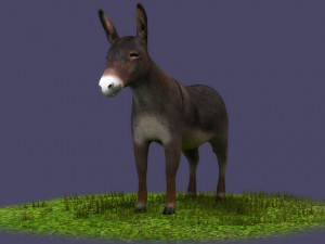 Donkeys ranches livestock breeding mammals Modello 3D