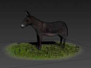 Donkeys ranches livestock breeding mammals Modello 3D
