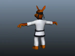 Taekwondo Kangaroo martial artist boxer artist 3D Model