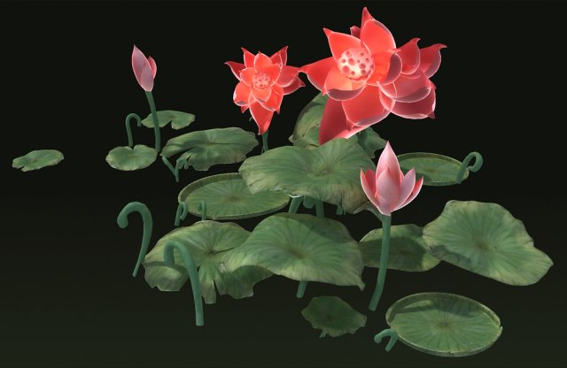 Ponds lakes Lotus leaf park water features Lotus Modèle 3D .c4d .max .obj .3ds .fbx .stl .blend 