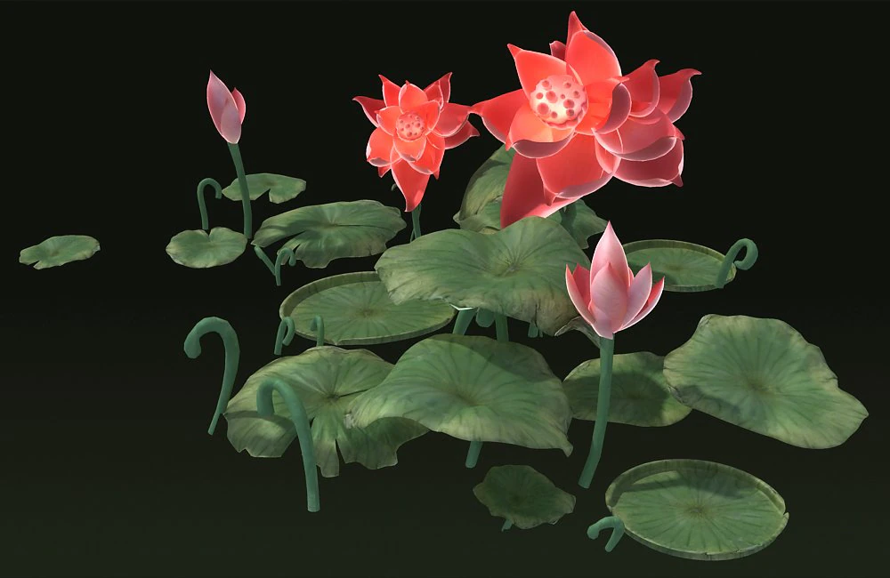 Ponds lakes Lotus leaf park water features Lotus 3D Model .c4d .max .obj .3ds .fbx .stl .blend