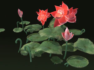 Пруды, озера, парк листьев лотоса, водные объекты Лотос 3D Модель