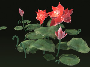 Ponds lakes Lotus leaf park water features Lotus Modèle 3D
