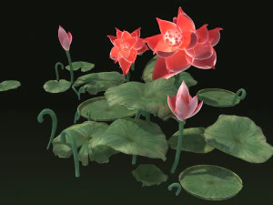Ponds lakes Lotus leaf park water features Lotus 3D Model