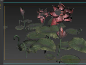Ponds lakes Lotus leaf park water features Lotus 3D Model