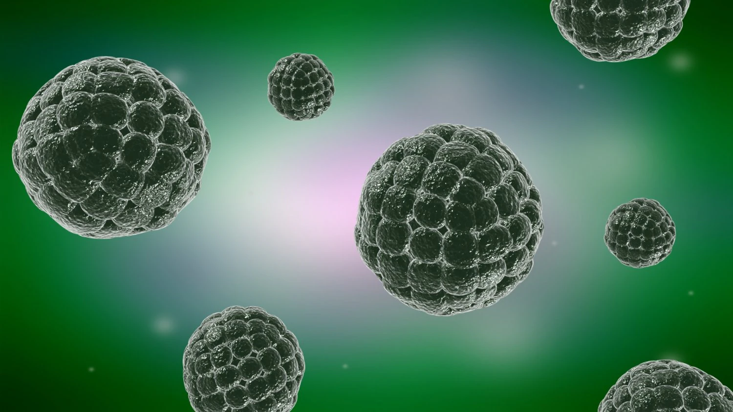 Virus cells Streptococcus molecules infectious medical advertising cells 3D Model .c4d .max .obj .3ds .fbx .stl .blend 