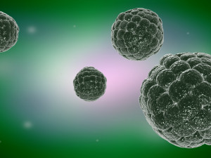 Virus cells Streptococcus molecules infectious medical advertising cells Modello 3D