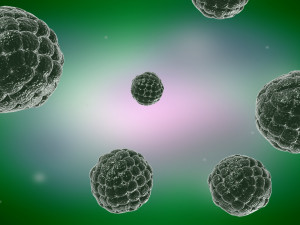 Virus cells Streptococcus molecules infectious medical advertising cells Modello 3D