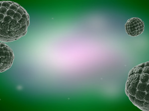 Virus cells Streptococcus molecules infectious medical advertising cells Modello 3D