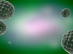 Virus cells Streptococcus molecules infectious medical advertising cells 3D Model