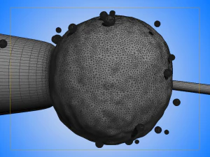 Sperm eggs fertilization medical treatment 3D Model