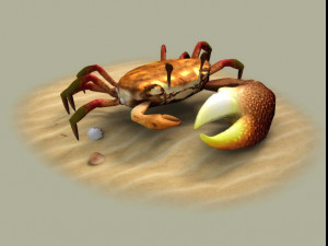 Fiddler crabs Hai River crabs hairy crabs shells oceans 3D Model