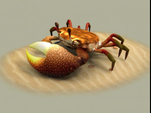 Fiddler crabs Hai River crabs hairy crabs shells oceans 3D Модель