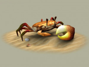 Fiddler crabs Hai River crabs hairy crabs shells oceans 3D Модель