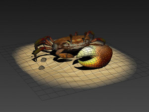 Fiddler crabs Hai River crabs hairy crabs shells oceans 3D Модель
