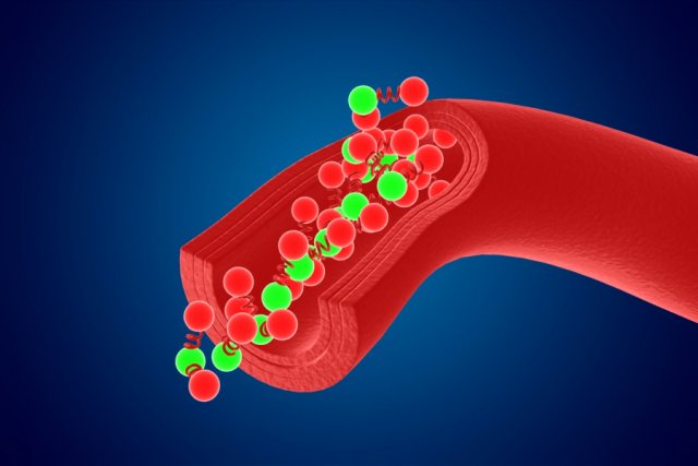High quality blood cells model carrying of blood cells 3D 모델 .c4d .max .obj .3ds .fbx .stl .blend 