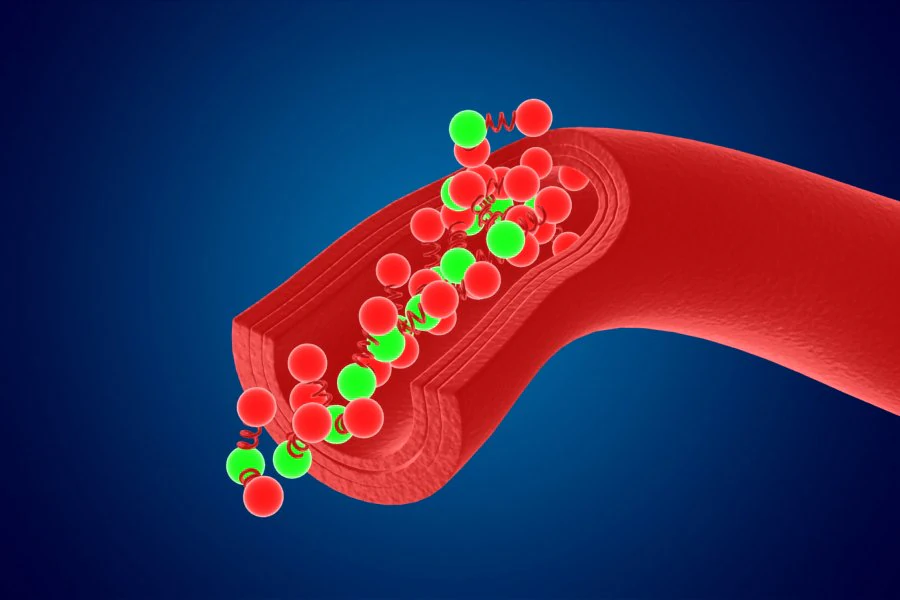 High quality blood cells model carrying of blood cells 3D Model .c4d .max .obj .3ds .fbx .stl .blend 