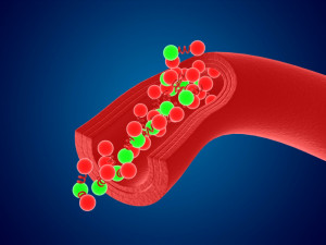 High quality blood cells model carrying of blood cells 3D Model