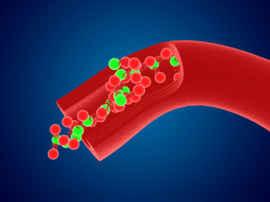 High quality blood cells model carrying of blood cells 3D 모델