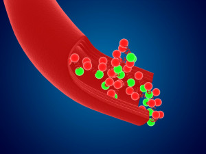 High quality blood cells model carrying of blood cells 3D 모델