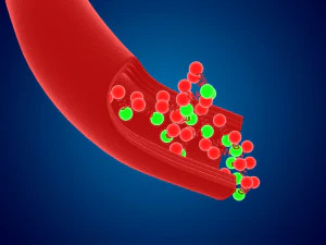 High quality blood cells model carrying of blood cells 3D Model