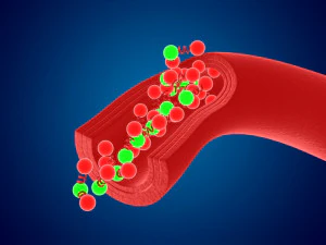 High quality blood cells model carrying of blood cells 3D Model