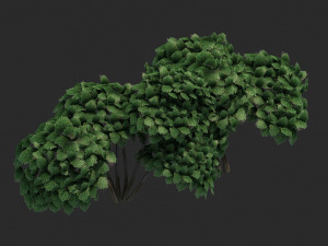 Cartoon Small Tree Bush Grass Bush plant ancient woods Modelo 3D