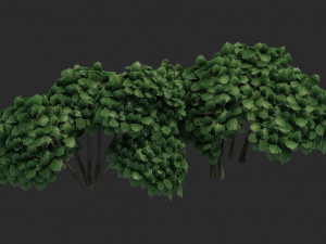 Cartoon Small Tree Bush Grass Bush plant ancient woods 3D Модель