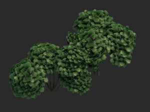 Cartoon Small Tree Bush Grass Bush plant ancient woods 3D Модель