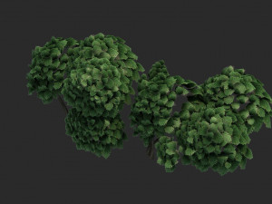 Cartoon Small Tree Bush Grass Bush plant ancient woods 3D Модель