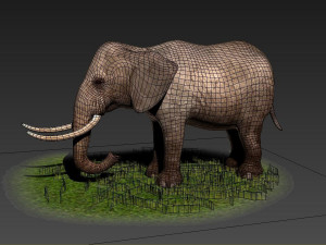 Animated elephant africa heavy mammal animal tusk safari Modello 3D