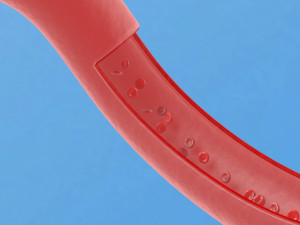 Blood vessel red human system artery health vessels Modelo 3D