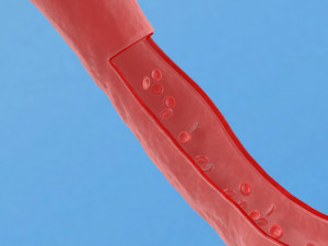 Blood vessel red human system artery health vessels Modelo 3D