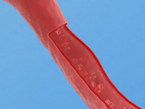 Blood vessel red human system artery health vessels Modelo 3D