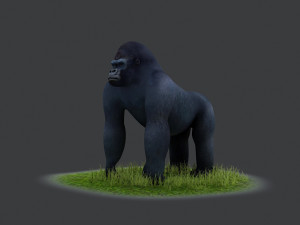 Bush chimpanzees silverback Primate Forest Animal Ape collection 3D Model